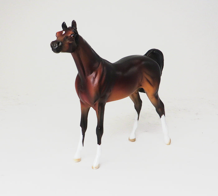 GIGGLES - OOAK SEAL BAY ARABIAN CHIP - 10/22