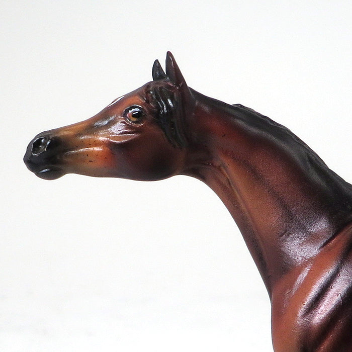 GIGGLES - OOAK SEAL BAY ARABIAN CHIP - 10/22