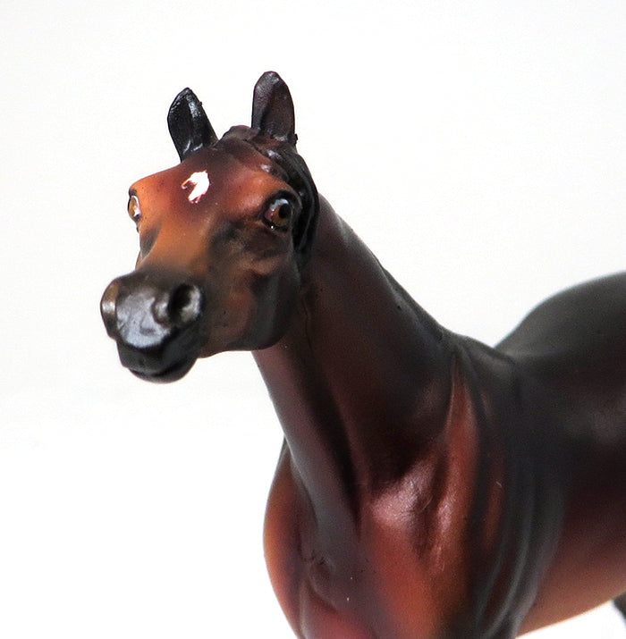 GIGGLES - OOAK SEAL BAY ARABIAN CHIP - 10/22