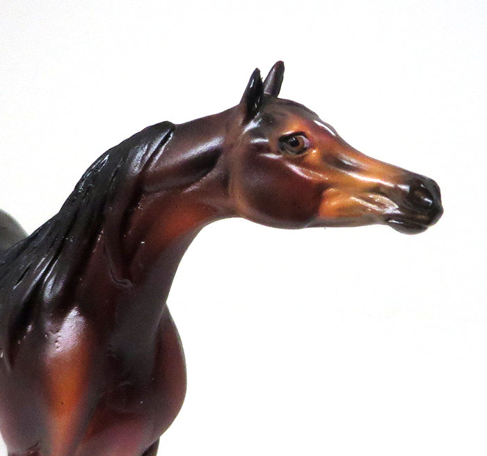 GIGGLES - OOAK SEAL BAY ARABIAN CHIP - 10/22