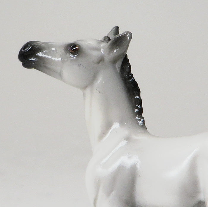OOAK GREY FOAL 