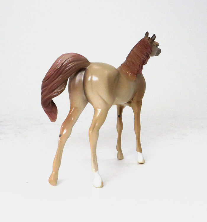 LIGHT CHESTNUT ARABIAN