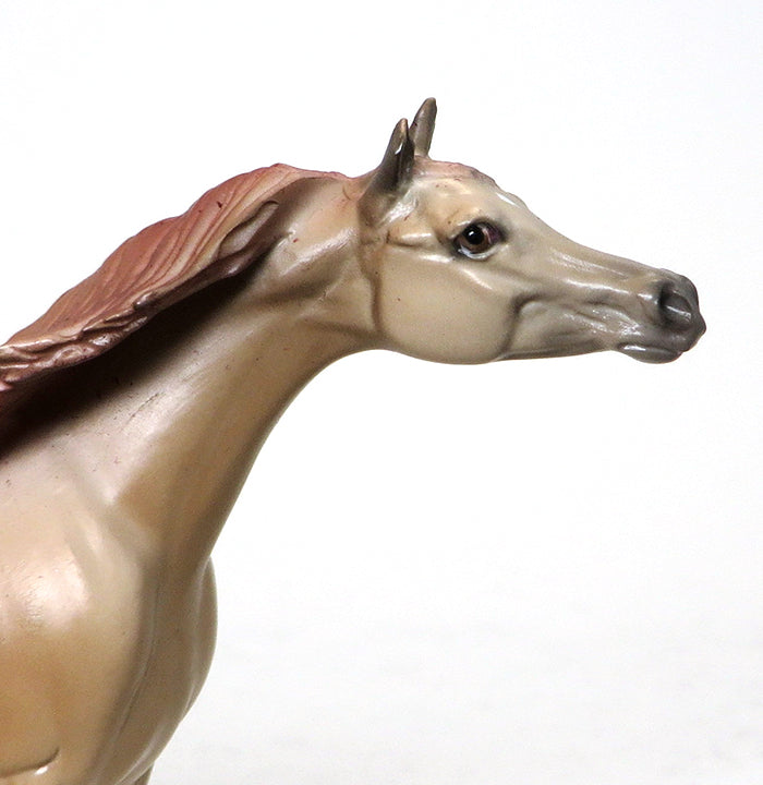 OOAK ARABIAN CHIP