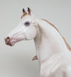 AMOROSO - OOAK PERLINO MORGAN MODEL HORSE by AL - 2/5