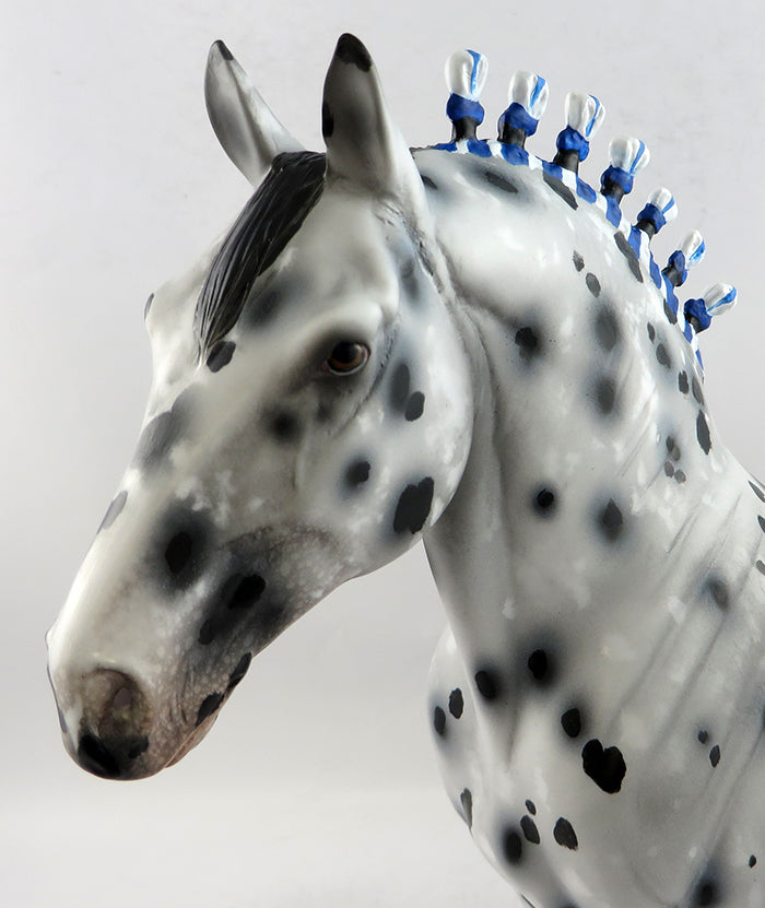 APPALOOSA