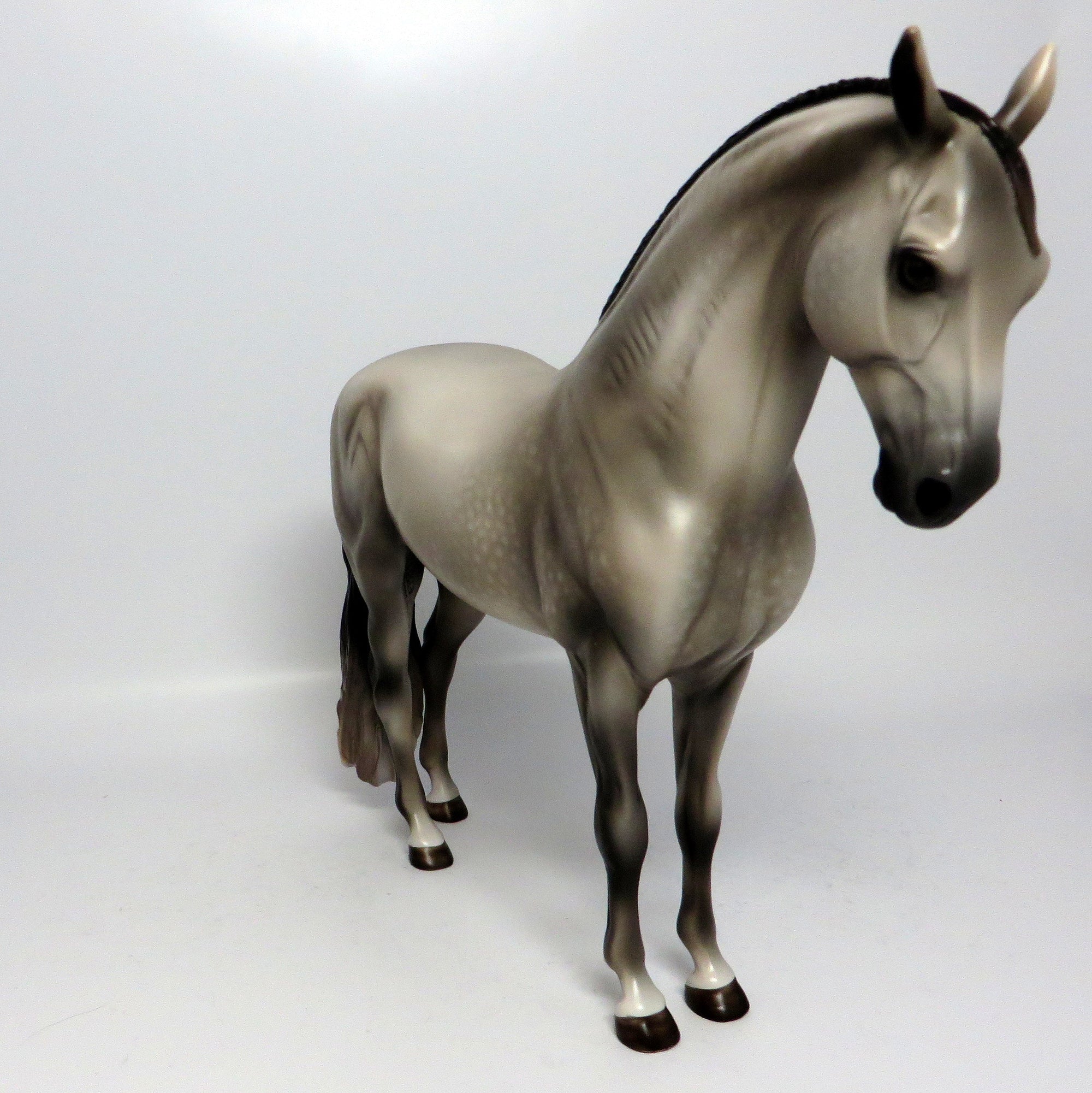 SYMPHONY~OOAK DAPPLE GREY ANDALUSIAN MODEL HORS3 6/16/17