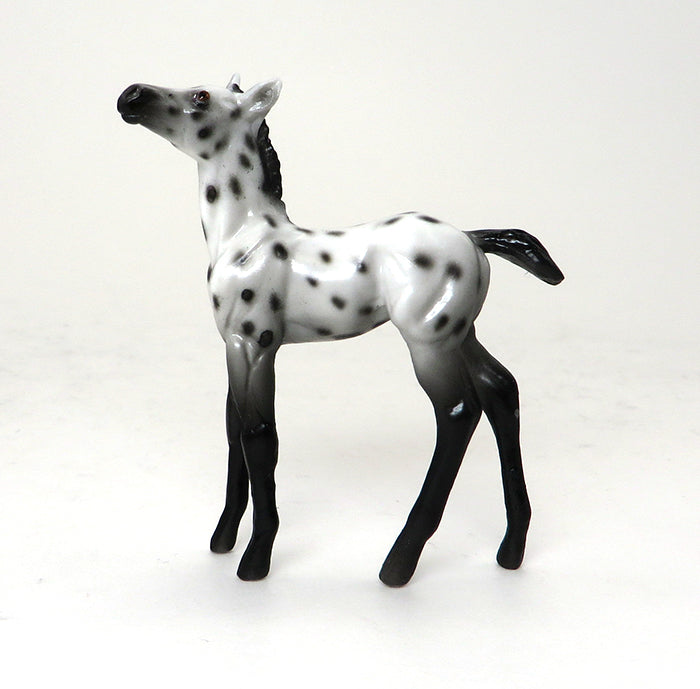 BEXLEY - OOAK APPALOOSA FOAL CHIP - 10/22