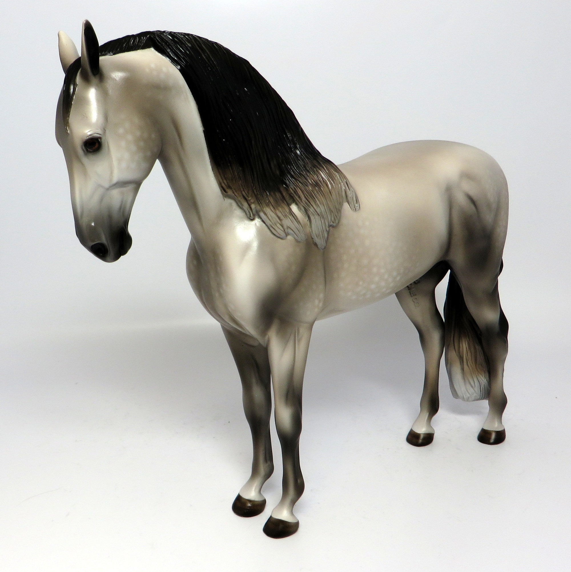 SYMPHONY~OOAK DAPPLE GREY ANDALUSIAN MODEL HORS3 6/16/17