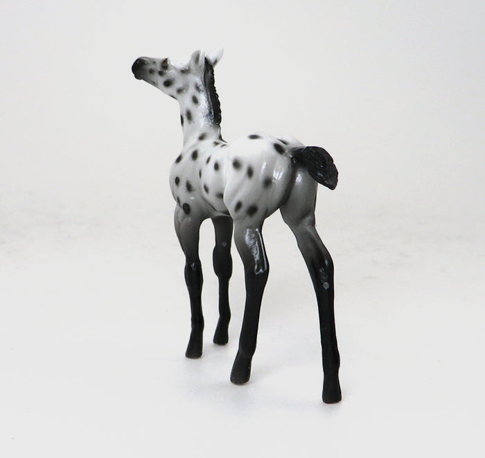 BEXLEY - OOAK APPALOOSA FOAL CHIP - 10/22