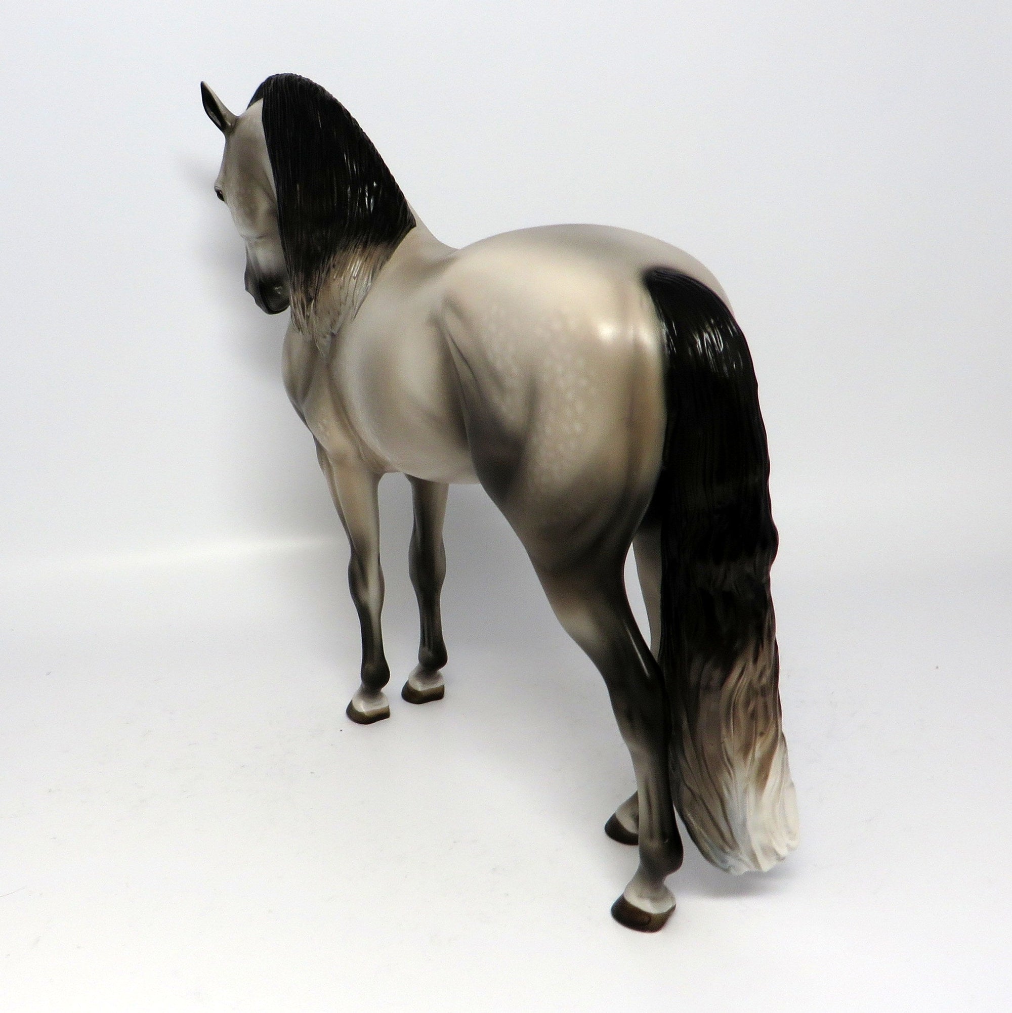 SYMPHONY~OOAK DAPPLE GREY ANDALUSIAN MODEL HORS3 6/16/17