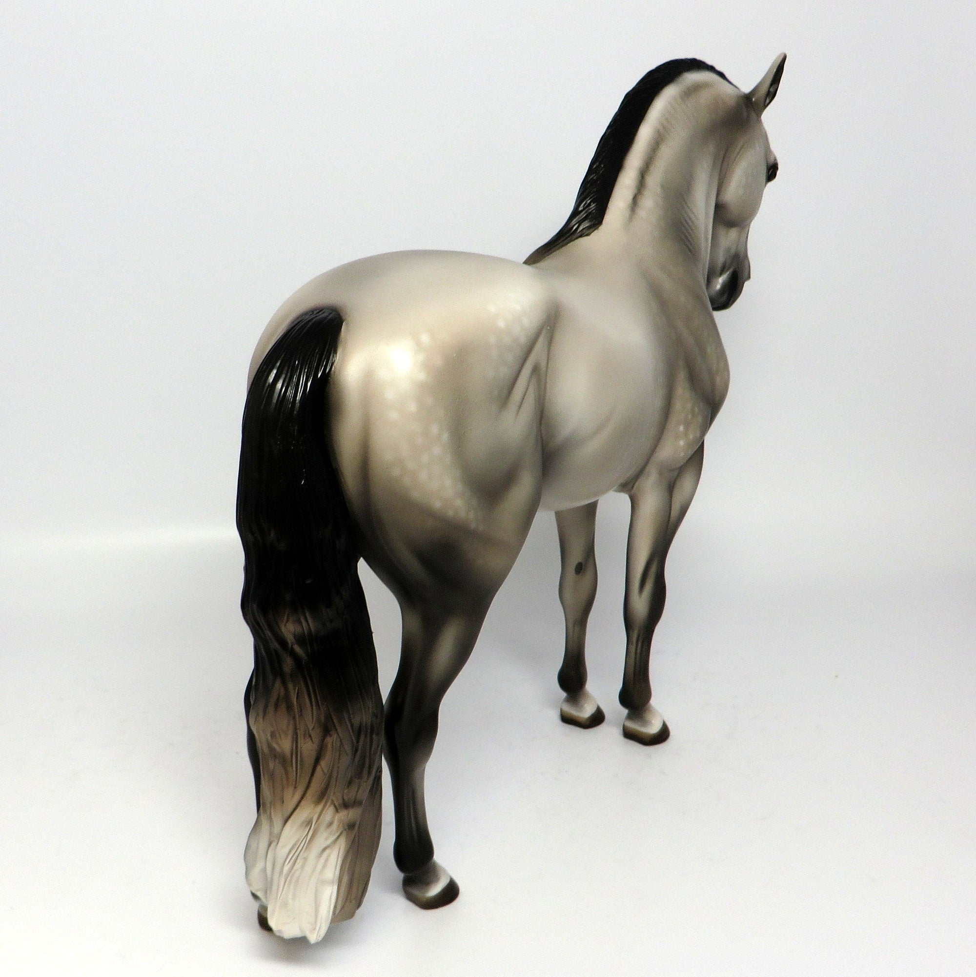 SYMPHONY~OOAK DAPPLE GREY ANDALUSIAN MODEL HORS3 6/16/17