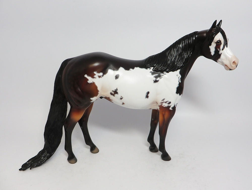 PARTY TIME-OOAK DAPPLE BAY OVERO ISH WITH MAPPING SUPER BOWL SALE 2018