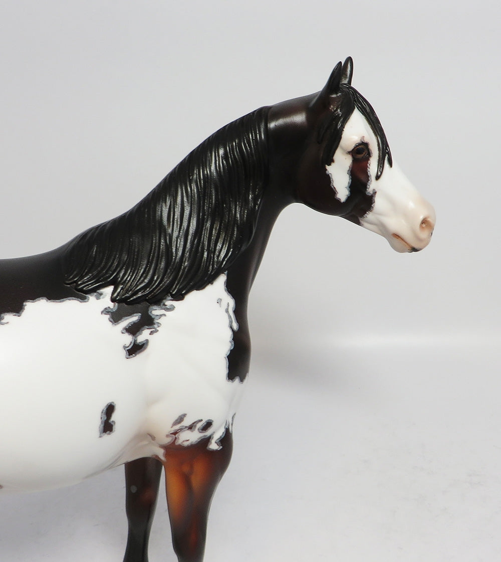 PARTY TIME-OOAK DAPPLE BAY OVERO ISH WITH MAPPING SUPER BOWL SALE 2018