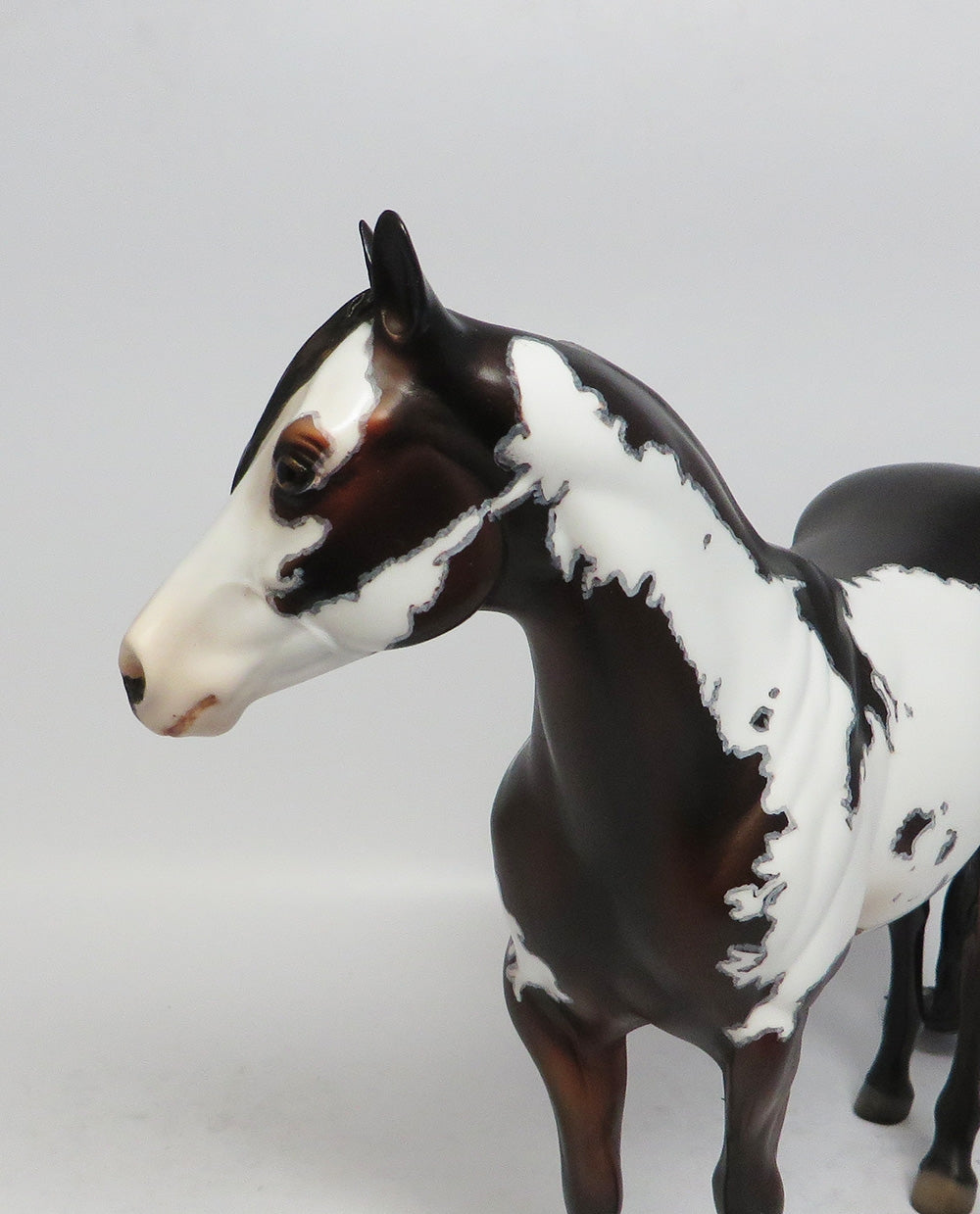 PARTY TIME-OOAK DAPPLE BAY OVERO ISH WITH MAPPING SUPER BOWL SALE 2018