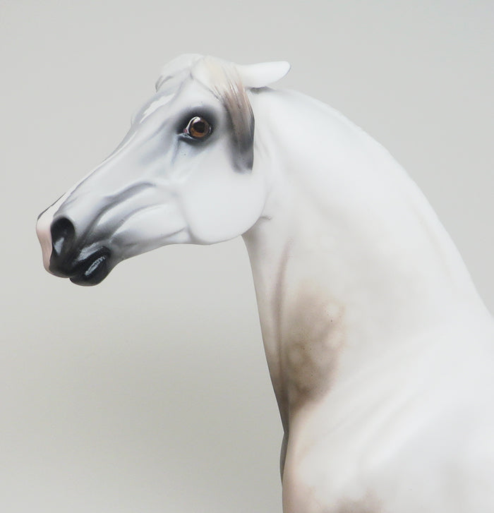 AMOUR - DAPPLE ROSE GREY PINNED EAR MORGAN LIMITED EDITION MODEL HORSE - LE4 - 2/5