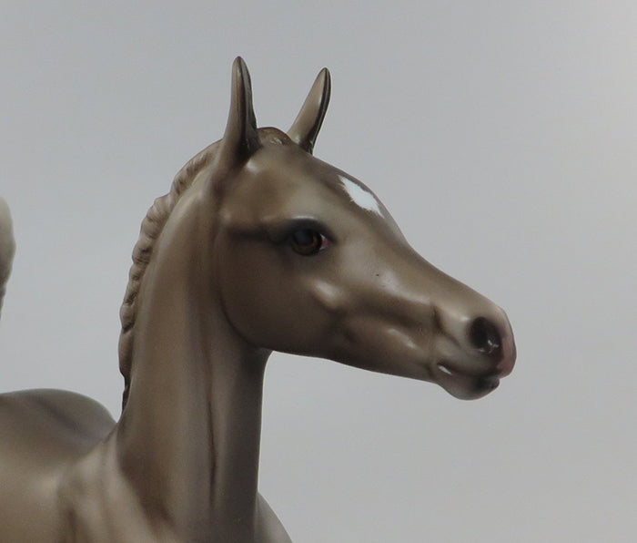 AINA-OOAK GRULLA FOAL MODEL HORSE 8/5