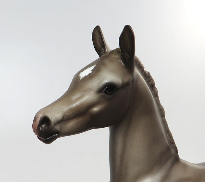 AINA-OOAK GRULLA FOAL MODEL HORSE 8/5