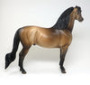 THETIS - DAPPLED BUCKSKIN PINNED EAR MORGAN LIMITED EDITION MODEL HORSE - LE4 - 2/8