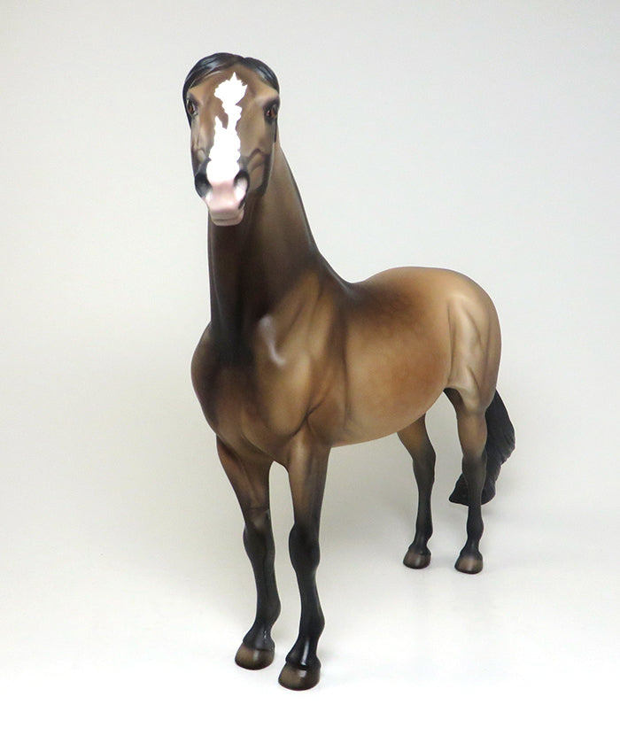 THETIS - DAPPLED BUCKSKIN PINNED EAR MORGAN LIMITED EDITION MODEL HORSE - LE4 - 2/8