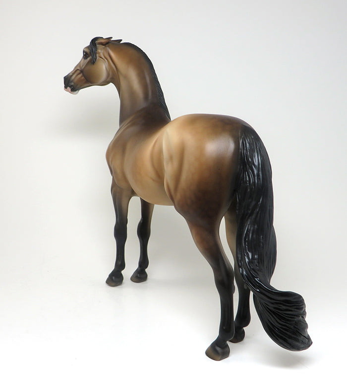 THETIS - DAPPLED BUCKSKIN PINNED EAR MORGAN LIMITED EDITION MODEL HORSE - LE4 - 2/8