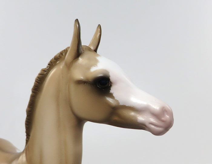 ADRIA-OOAK ETCHED DUN PAINT FOAL BY SHERYL LEISURE 8/5