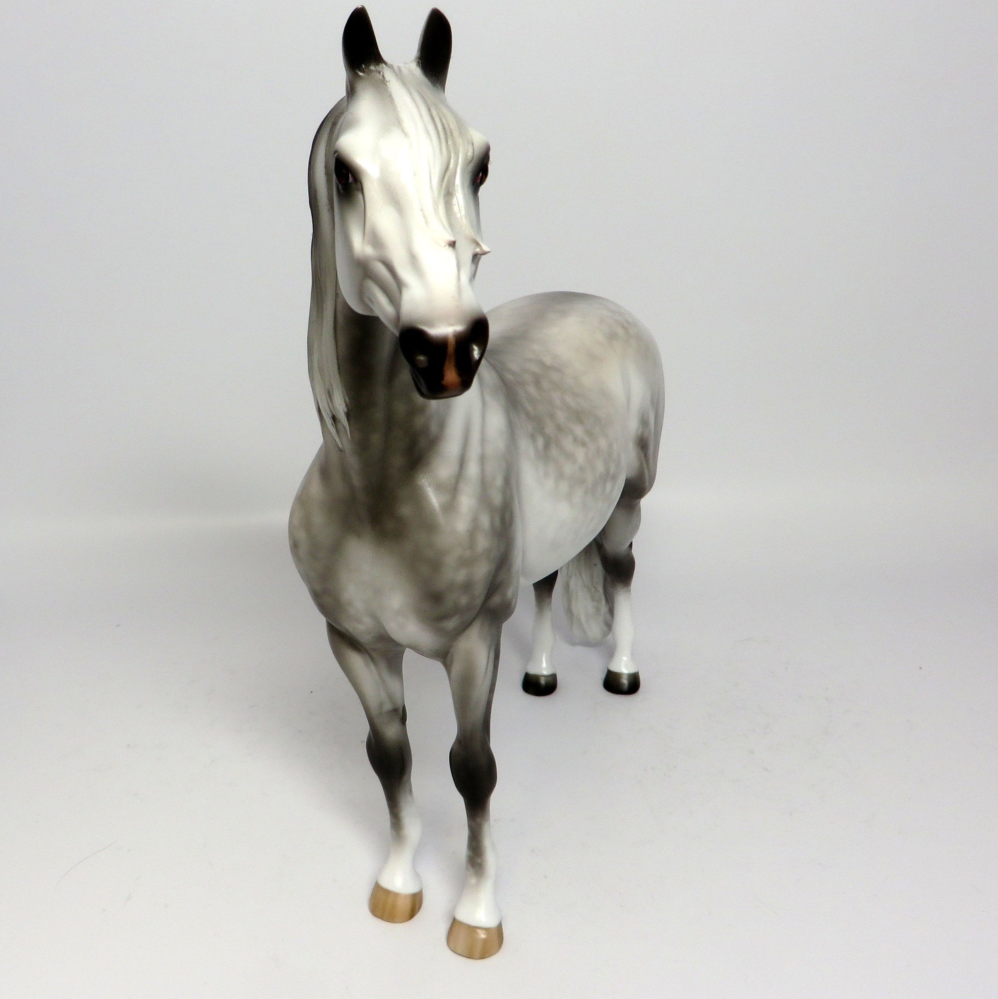 PAVANE~OOAK STAR DAPPLE MORGAN MODEL HORSE BY SHERYL LEISURE  6/16/17