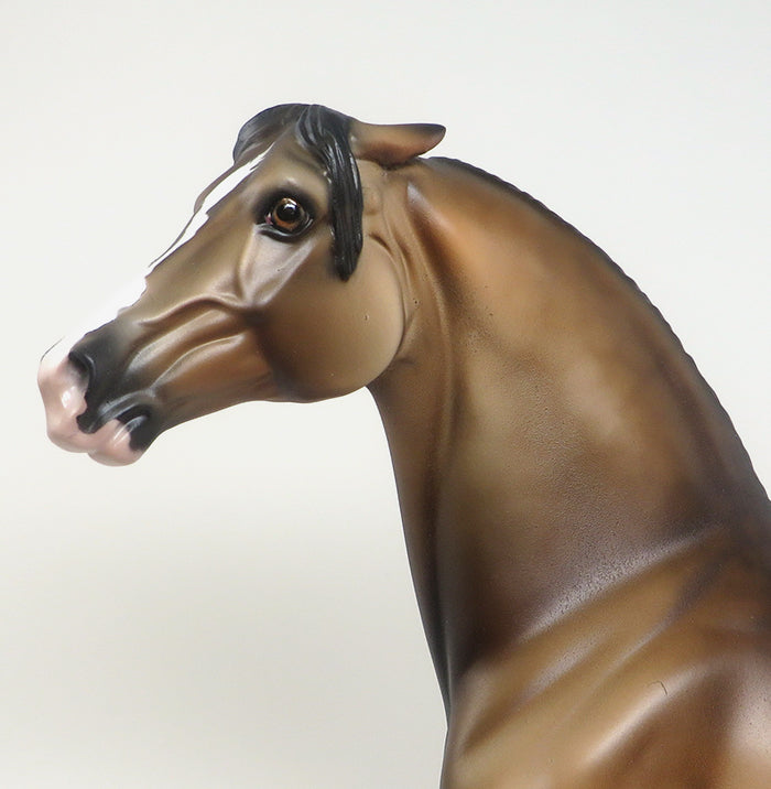 THETIS - DAPPLED BUCKSKIN PINNED EAR MORGAN LIMITED EDITION MODEL HORSE - LE4 - 2/8