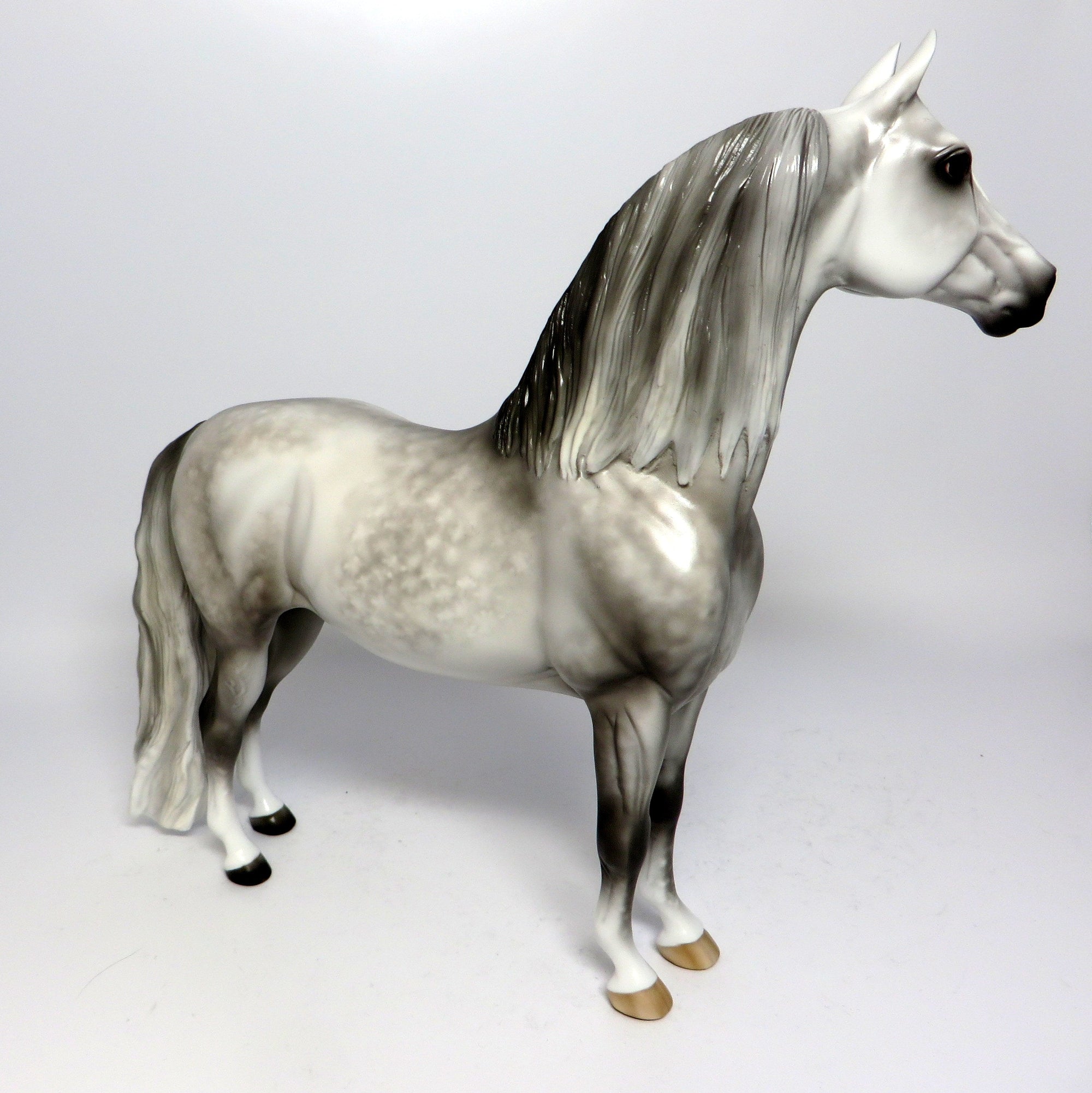PAVANE~OOAK STAR DAPPLE MORGAN MODEL HORSE BY SHERYL LEISURE  6/16/17