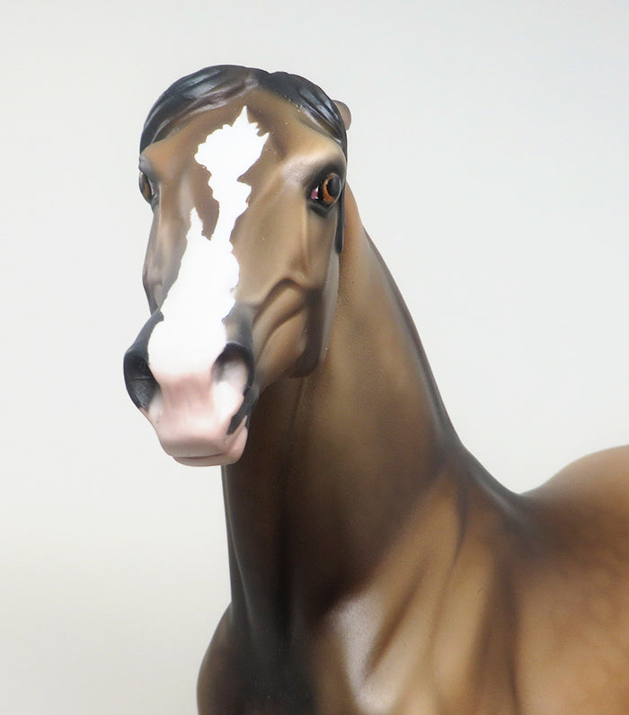 THETIS - DAPPLED BUCKSKIN PINNED EAR MORGAN LIMITED EDITION MODEL HORSE - LE4 - 2/8