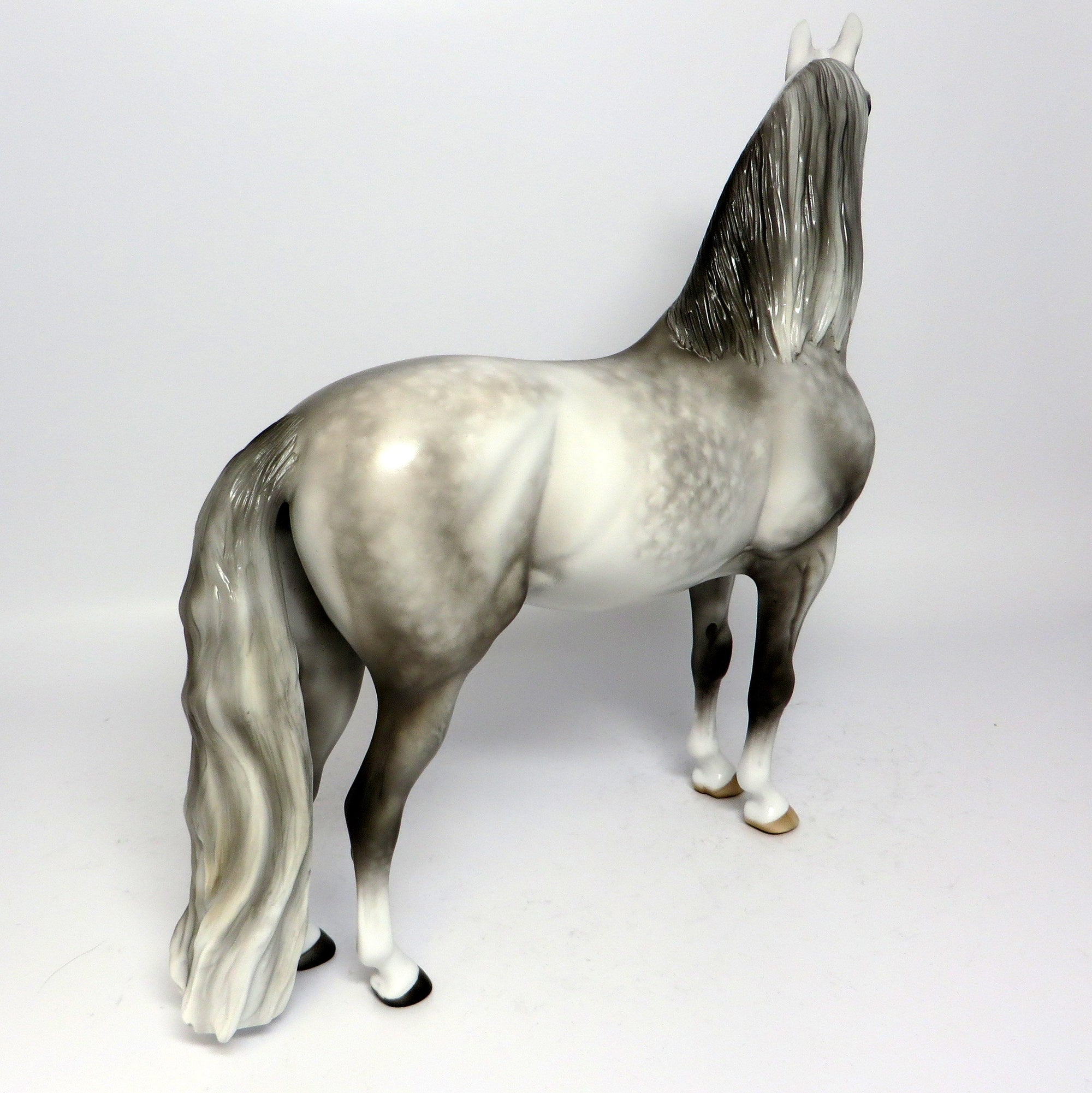 PAVANE~OOAK STAR DAPPLE MORGAN MODEL HORSE BY SHERYL LEISURE  6/16/17