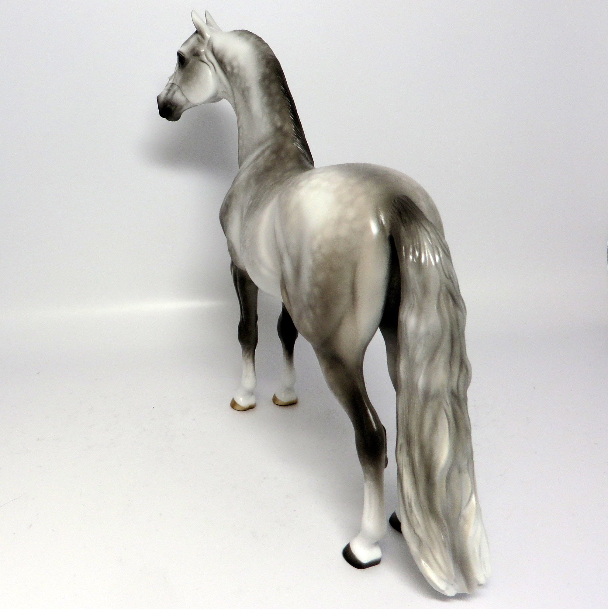 PAVANE~OOAK STAR DAPPLE MORGAN MODEL HORSE BY SHERYL LEISURE  6/16/17