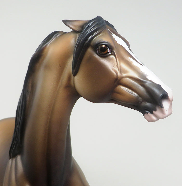 THETIS - DAPPLED BUCKSKIN PINNED EAR MORGAN LIMITED EDITION MODEL HORSE - LE4 - 2/8