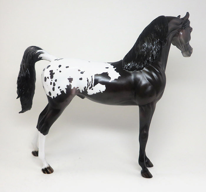 TRUMPETT - OOAK BLACK APPALOOSA ARABIAN MODEL HORSE - 2/8