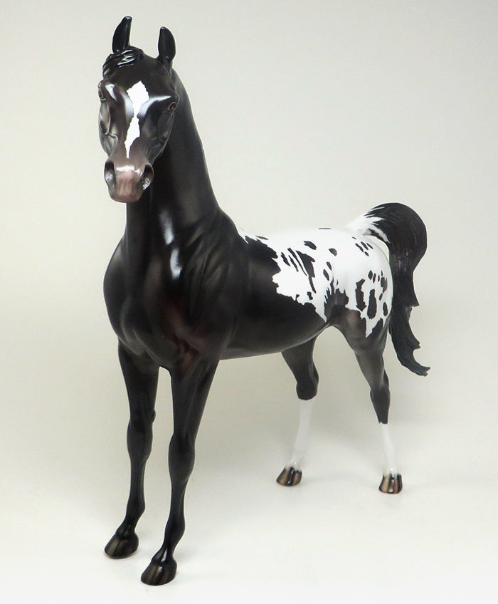 TRUMPETT - OOAK BLACK APPALOOSA ARABIAN MODEL HORSE - 2/8