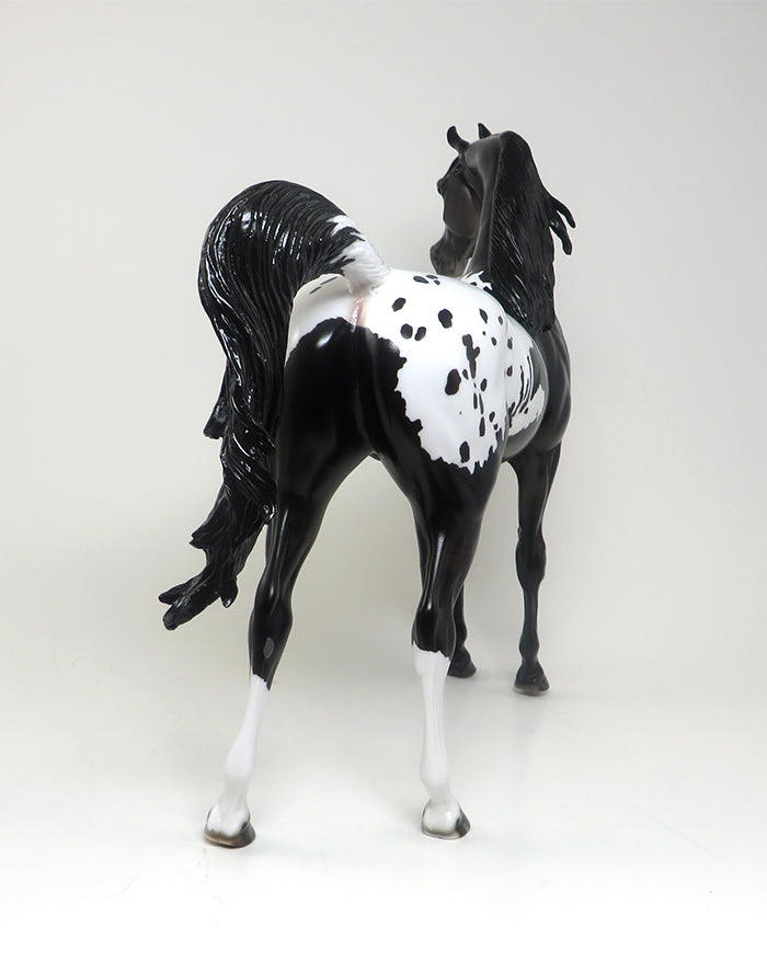 TRUMPETT - OOAK BLACK APPALOOSA ARABIAN MODEL HORSE - 2/8