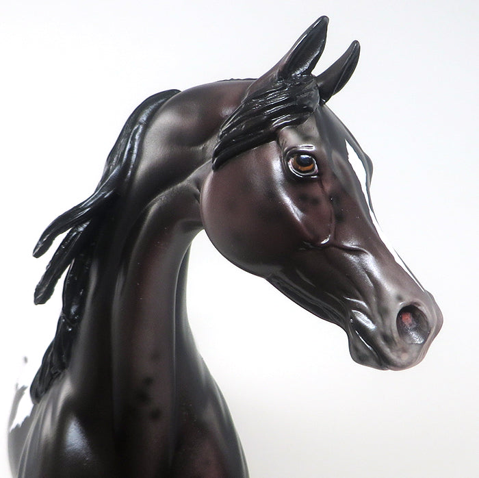 TRUMPETT - OOAK BLACK APPALOOSA ARABIAN MODEL HORSE - 2/8