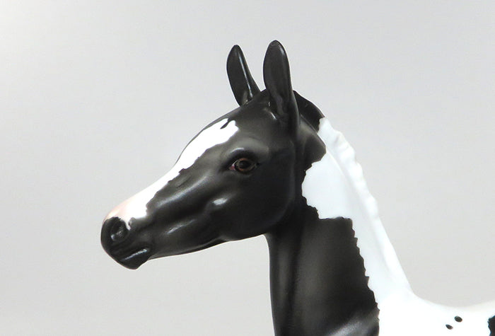 PRINCE-OOAK ETCHED BLACK AND WHITE PAINT FOAL BY SHERYL LEISURE 8/5