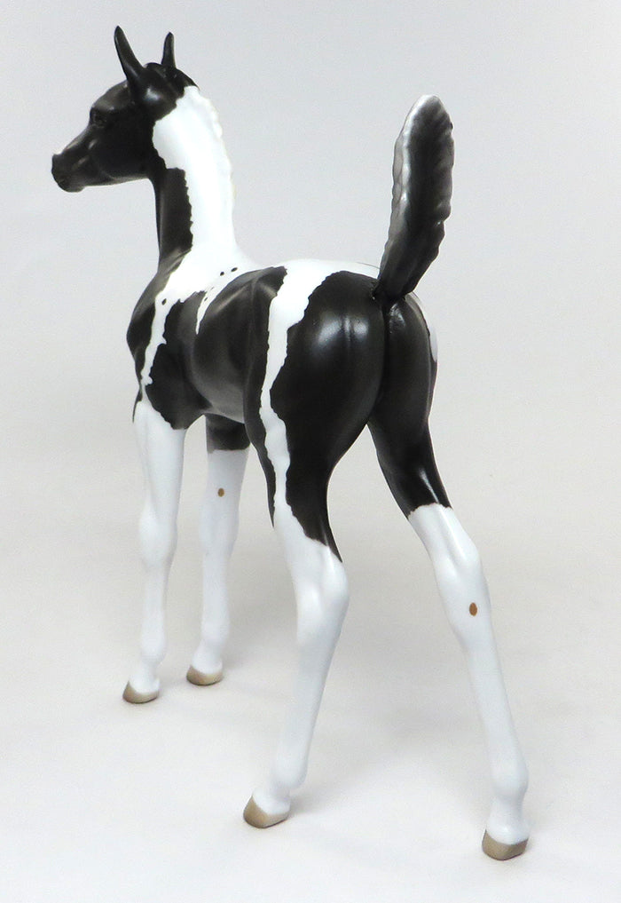 PRINCE-OOAK ETCHED BLACK AND WHITE PAINT FOAL BY SHERYL LEISURE 8/5