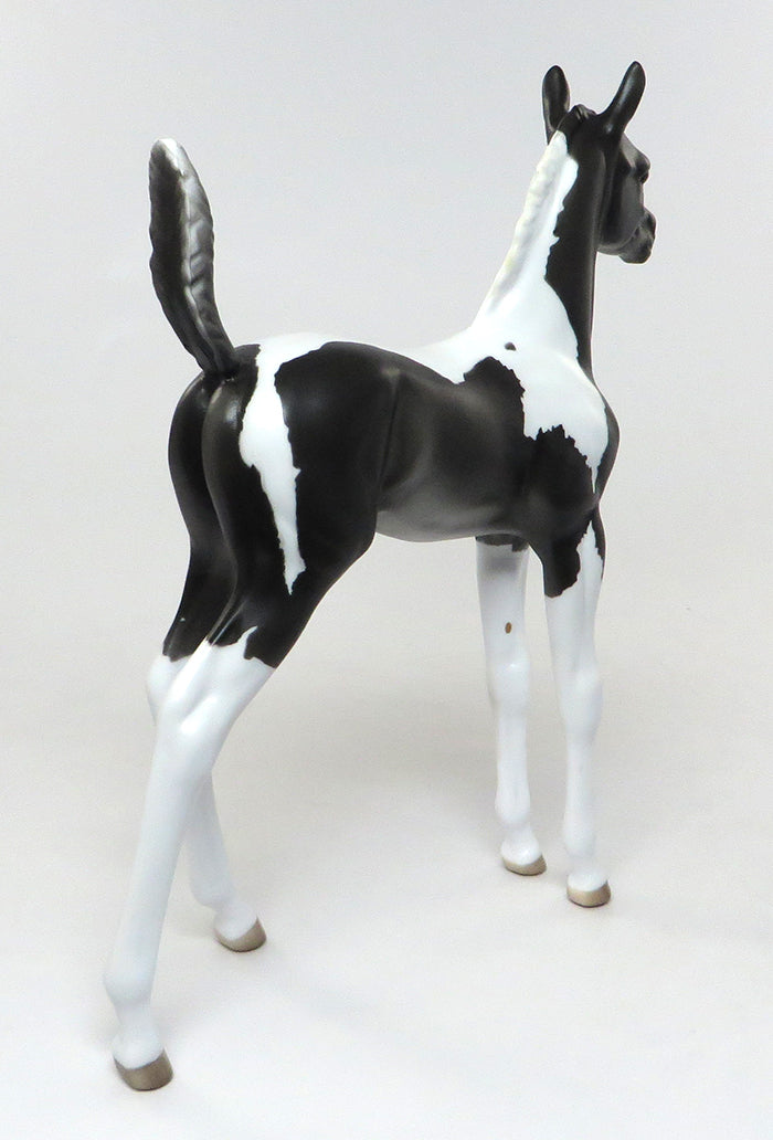 PRINCE-OOAK ETCHED BLACK AND WHITE PAINT FOAL BY SHERYL LEISURE 8/5