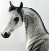 APPALOOSA