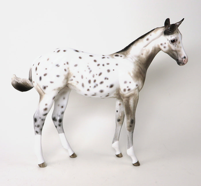 Weanling Model Horse 