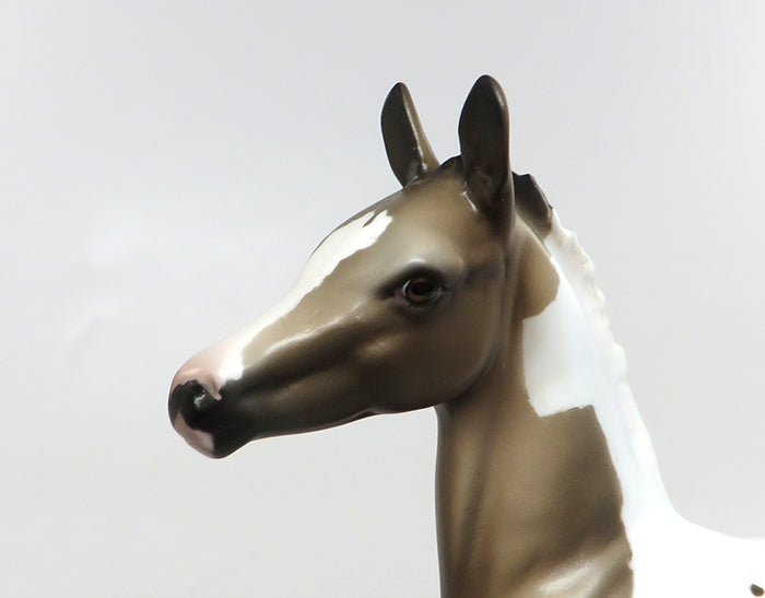 BERIZI-OOAK GRULLA PAINT FOAL MODEL HORSE 8/15