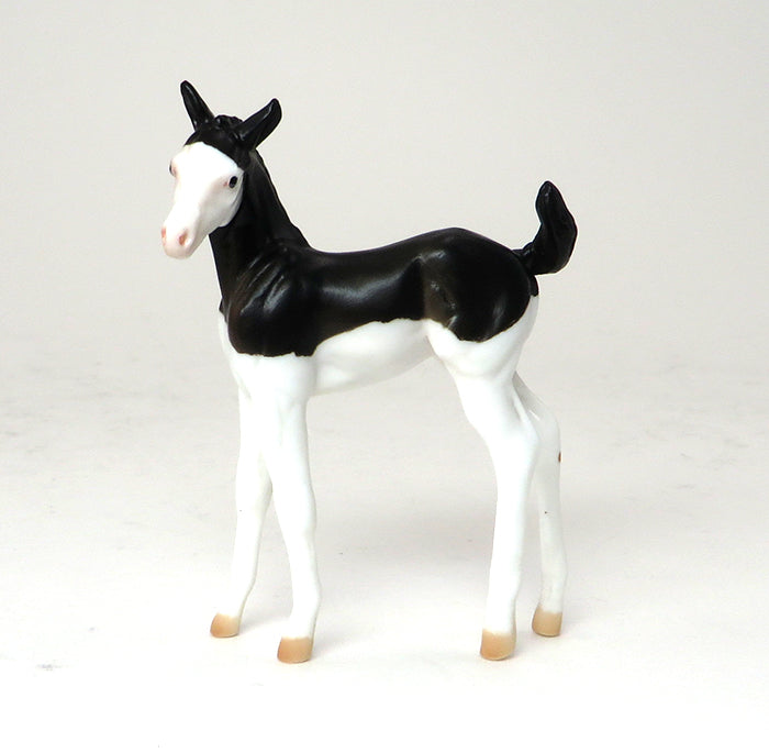 SPIDER GIRL - BLACK SPLASH OVERO CHIPS FOAL - LE2