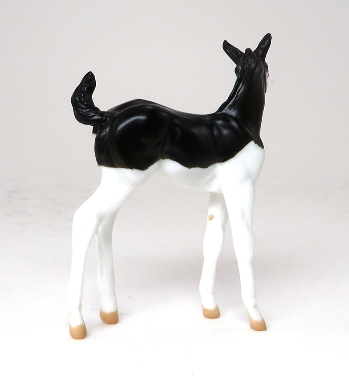 SPIDER GIRL - BLACK SPLASH OVERO CHIPS FOAL - LE2