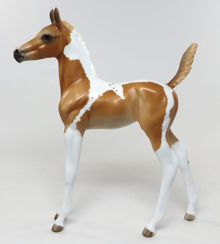foal paint
