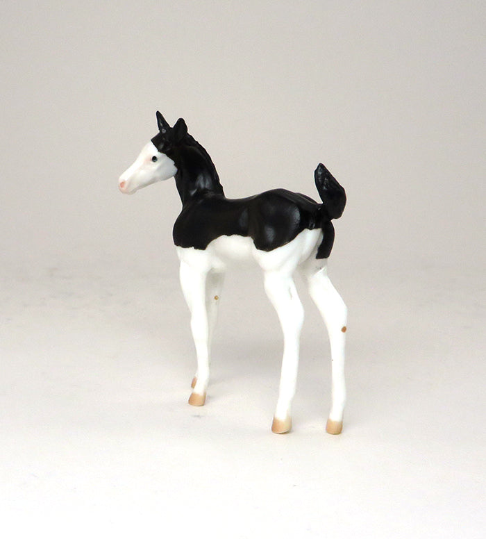 SPIDER GIRL - BLACK SPLASH OVERO CHIPS FOAL - LE2