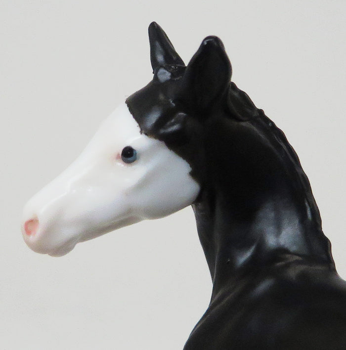 SPIDER GIRL - BLACK SPLASH OVERO CHIPS FOAL - LE2