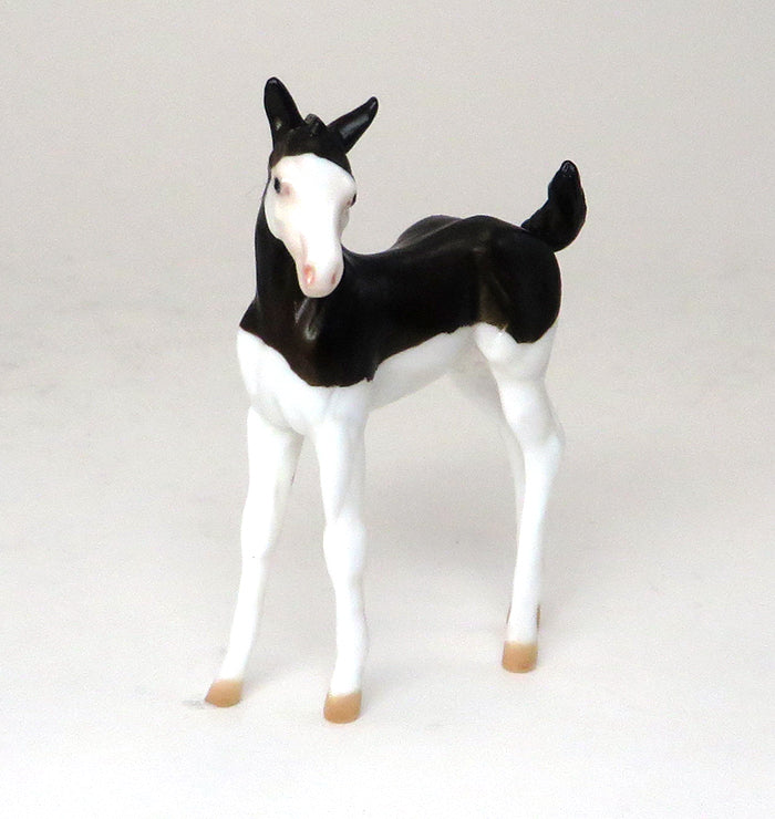 SPIDER GIRL - BLACK SPLASH OVERO CHIPS FOAL - LE2