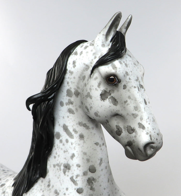Appaloosa