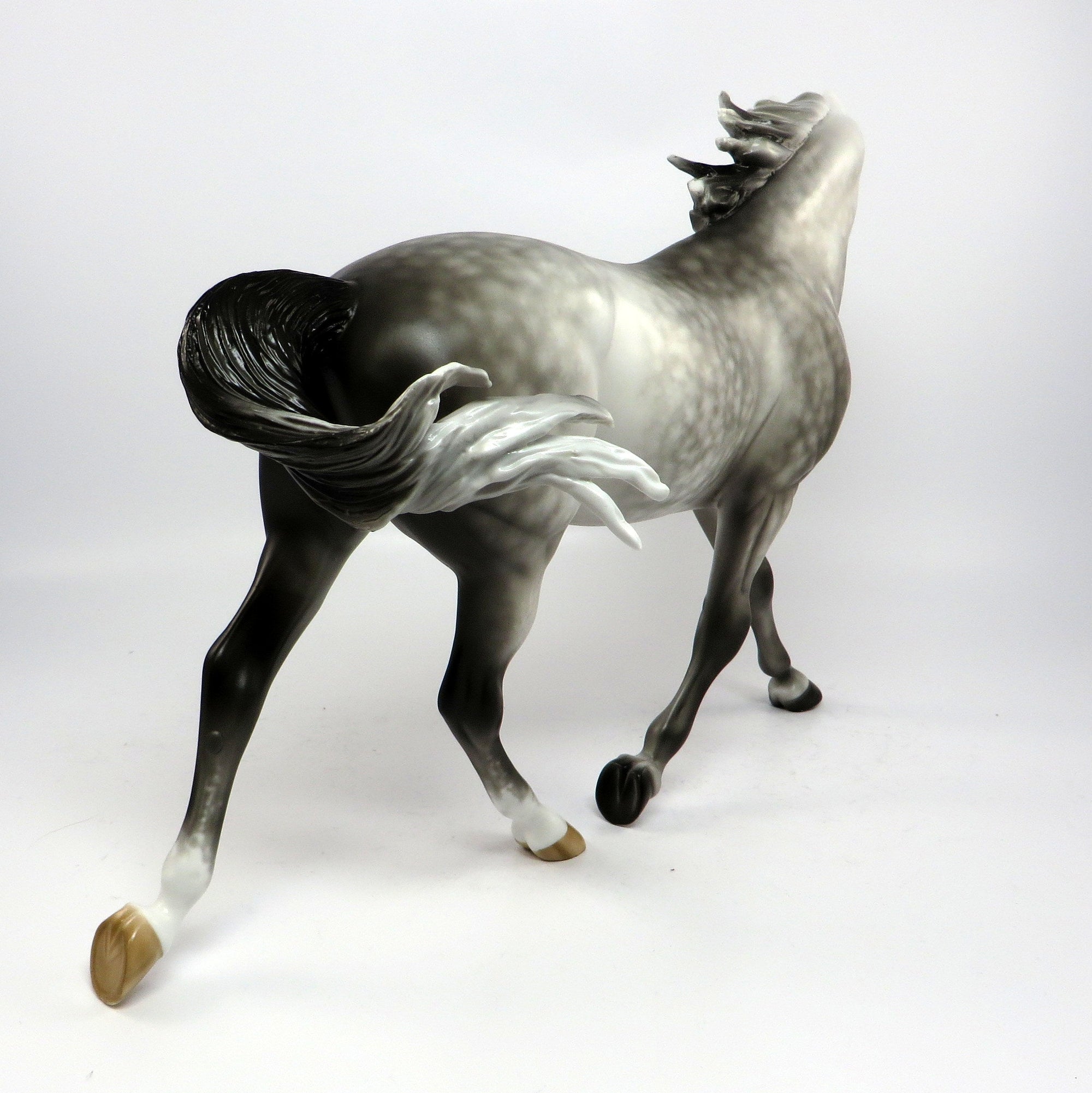 BELLAMY~OOAK STAR DAPPLE GREY PALOUSE MODEL HORSE BY SHERYL LEISURE 6/16/17